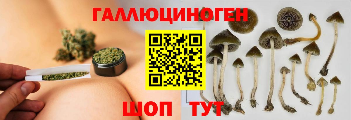 Калуга  Галлюциногенные грибы ЛСД  Вход с VPN  Псилоцибиновые грибы Psilocybe 